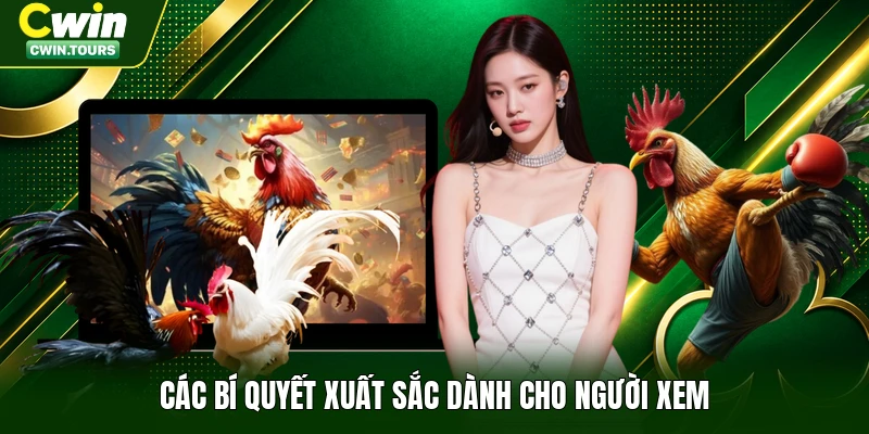 Các bí quyết xuất sắc dành cho người xem